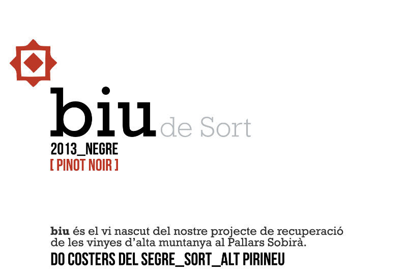 Biu 2013 Negre