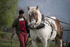 Vinyes Celler del Batlliu. Vins d'Alta Muntanya