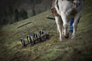 Vinyes Celler del Batlliu. Vins d'Alta Muntanya