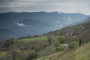 Vinyes Celler del Batlliu. Vins d'Alta Muntanya
